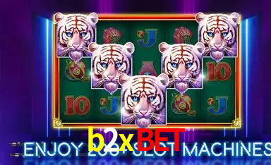 Security Systems b2xbet